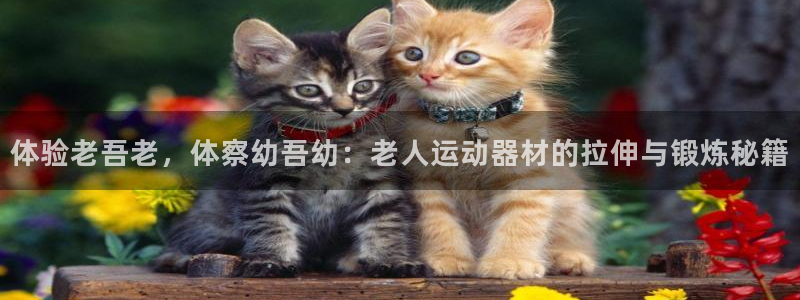 fb体育招商电话地址查询：体验老吾老，体察幼吾幼：老