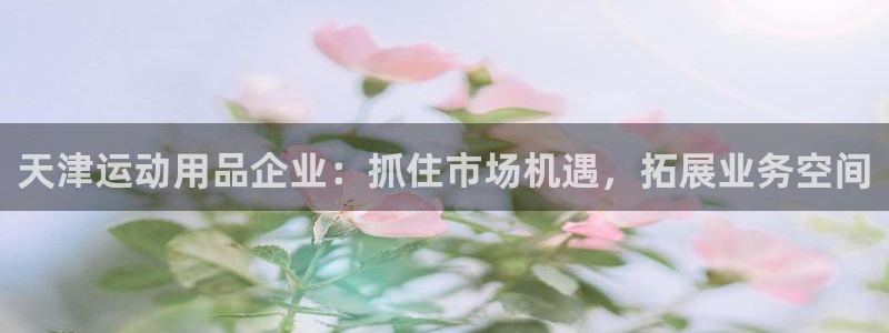 fb体育集团E.ON：天津运动用品企业：抓住市场机遇