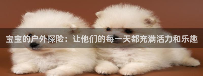 fb体育官方：宝宝的户外探险：让他们的每一天都充满活