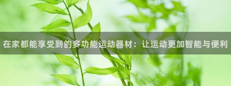 fb体育娱乐：在家都能享受到的多功能运动器材：让运动