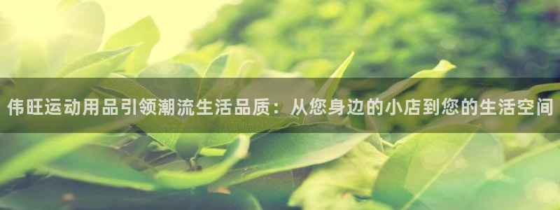 fb体育平台注册流程视频：伟旺运动用品引领潮流生活品质：从您