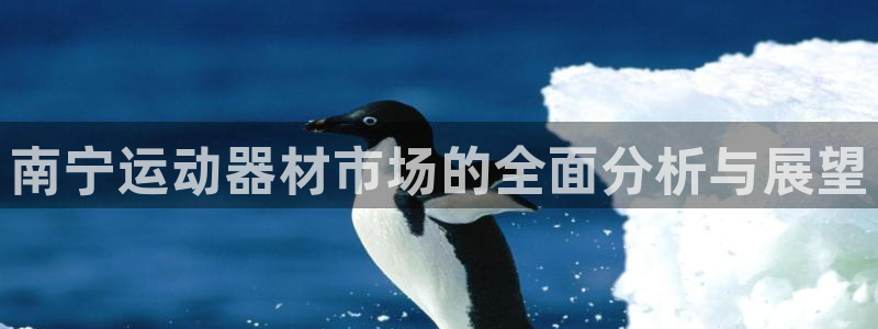 fb体育代理：南宁运动器材市场的全面分析与展望