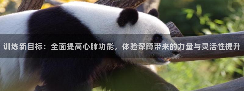 fb体育娱乐是那个系列的台子：训练新目标：全面提高心
