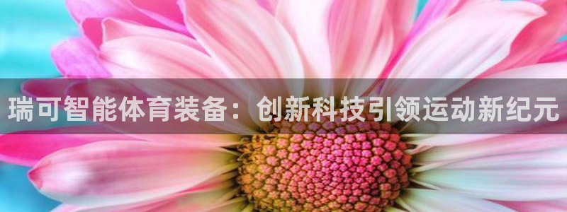 fb体育平台注册要钱吗安全吗：瑞可智能体育装备：创新科技引领