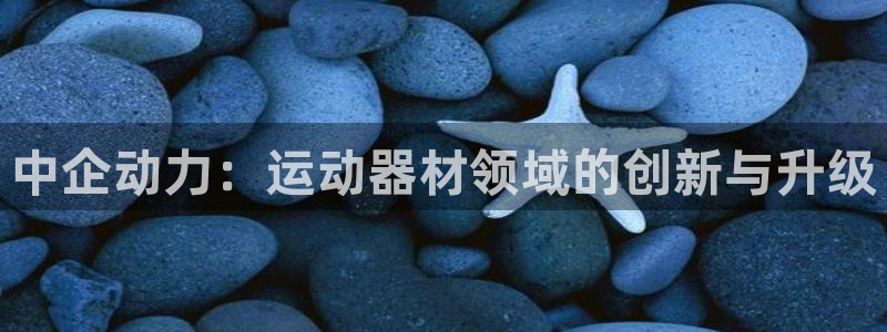 fb体育娱乐是那个系列的台子：中企动力：运动器材领域