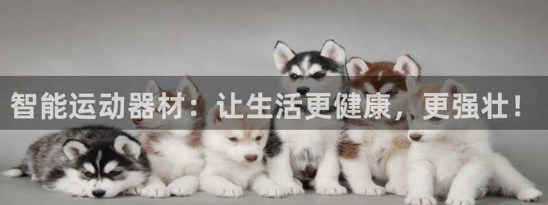 fb体育平台注册要钱吗：智能运动器材：让生活更健康，