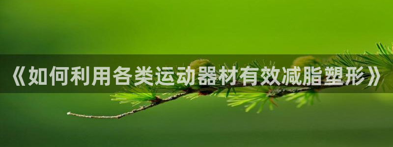 fb体育科技：《如何利用各类运动器材有效减脂塑形》