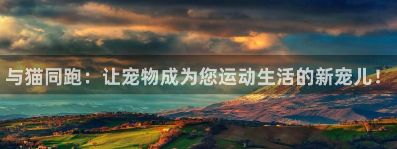 fb体育开户：与猫同跑：让宠物成为您运动生活的新宠儿！