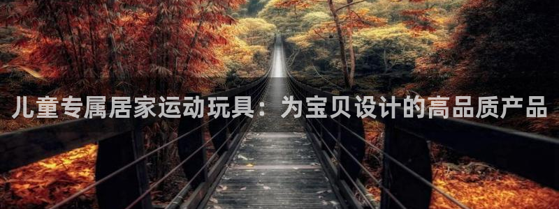 fb体育集团logo：儿童专属居家运动玩具：为宝贝设计的高品