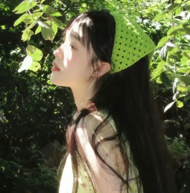 极岛森林第二季