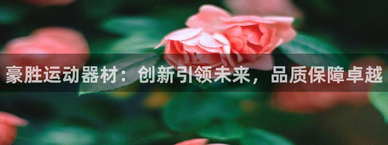 fb体育招商电话号码是多少：豪胜运动器材：创新引领未来，品质