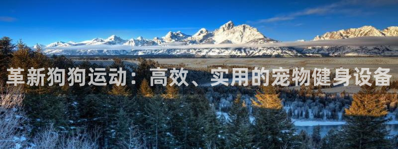 fb体育平台注册要钱吗是真的吗：革新狗狗运动：高效、实用的宠